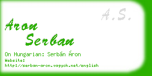 aron serban business card